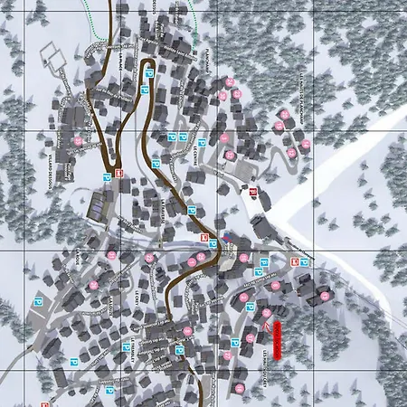 Grand 5 Pièces Proche Télécabine, Garage Et Cheminée - Fr-1-464-207 La Plagne