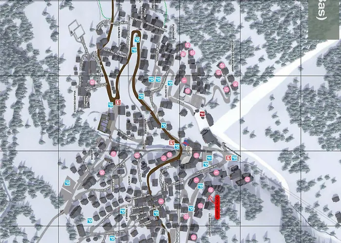 Grand 5 Pièces Proche Télécabine, Garage Et Cheminée - Fr-1-464-207 La Plagne